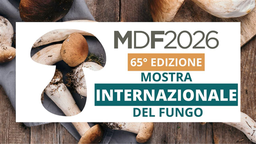 Mostra Internazionale del Fungo 2026, un questionario per favorire un percorso partecipativo con i cittadini.
